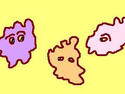 Если бы у микробов были глаза, видели ли бы они друг друга? - Наука и здоровье