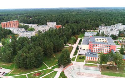 Улица Тарибу стала аллеей Атгимимо - В Висагинасе