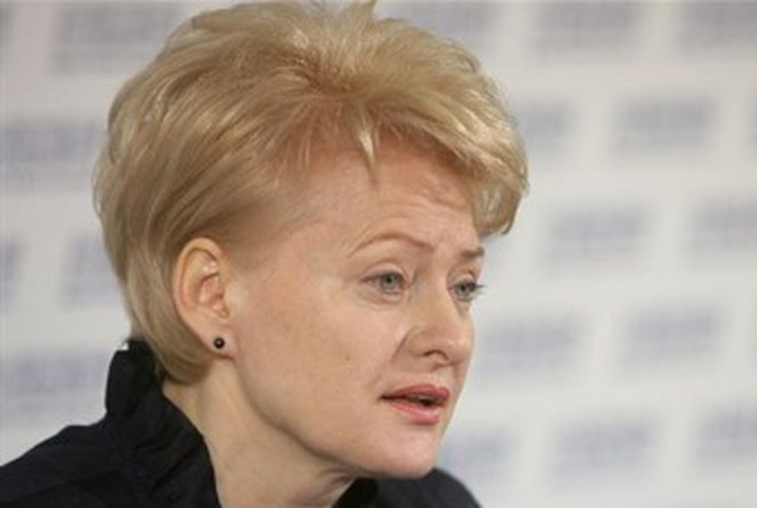 Президент Литвы упрекнула белорусскую оппозицию в алчности                                                                