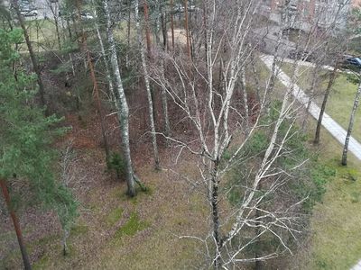 Почему в городе на одних участках листья убирали, а на других нет? - В Висагинасе