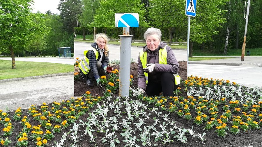Те, кто делает мир краше (фотогалерея) - В Висагинасе