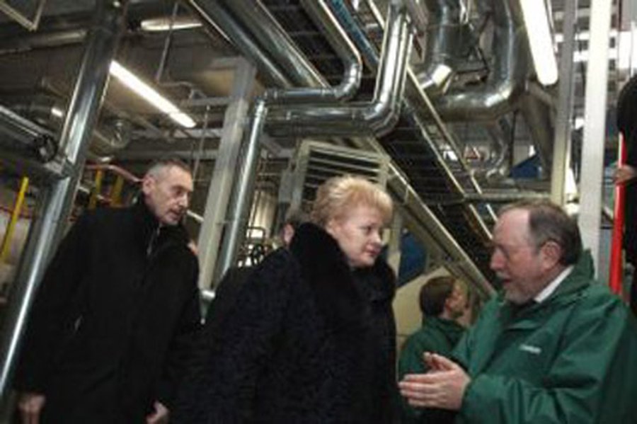 Президент Литвы предлагает раздробить монополии поставок теплоэнергии - Энергетика