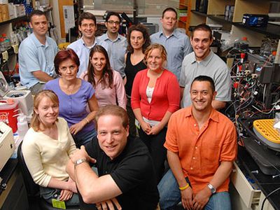 Новая стратегия позволяет запускать программу самоуничтожения в раковых клетках - Наука и здоровье