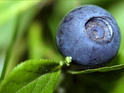 Можно ли поправить себе зрение без лекарств? - Наука и здоровье