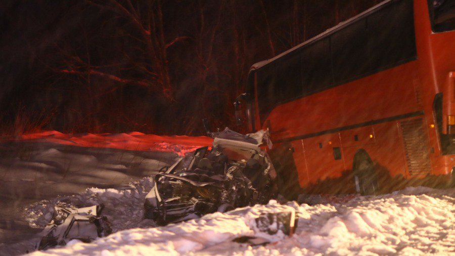 Лось – причина трагического ДТП под Вильнюсом - Литва и страны Балтии