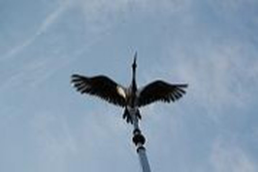 Добились. Но...
 - В Висагинасе