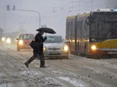 В Польше жертвами морозов стали 49 человек - В Мире