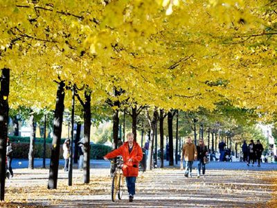 Прогноз на начало отопительного сезона: такого октября не было два года - Литва и страны Балтии