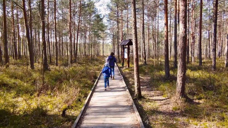 В Висагинасе стартовал проект по развитию природных маршрутов и туристической инфраструктуры - В Висагинасе
