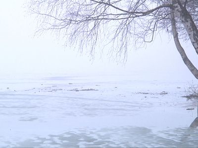 Информация для рыбаков, охотников и не только... - В Висагинасе