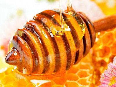 Отравление… медом: невероятно, но факт - Наука и здоровье