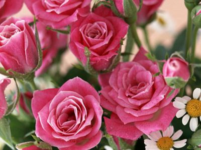 Поздравляем педагогов с профессиональным праздником! - В Висагинасе