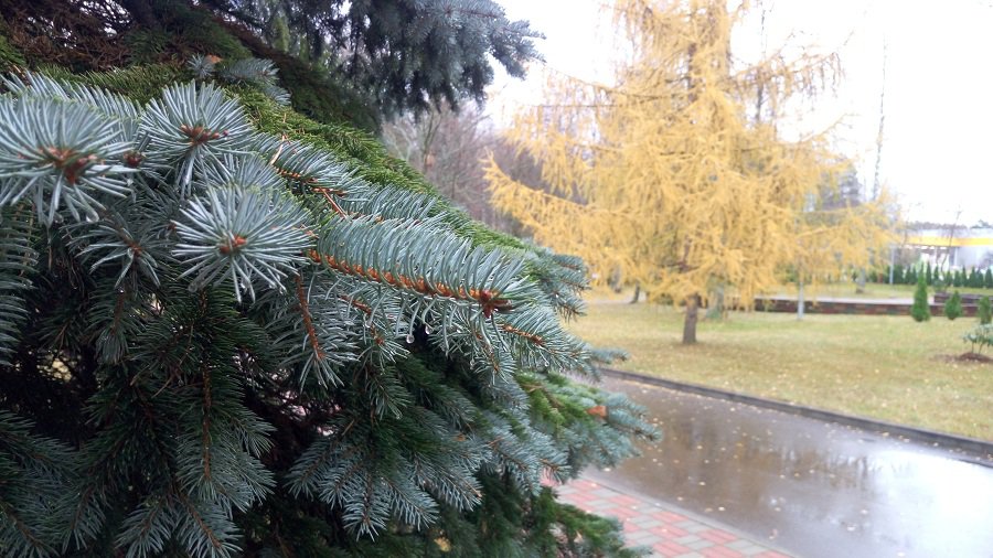 Прогноз погоды в Висагинасе на следующую неделю - В Висагинасе