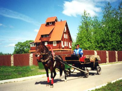 Из-за рекордного роста цен на топливо властям Литвы советуют пересесть на лошадей - Хобби, отдых и развлечения