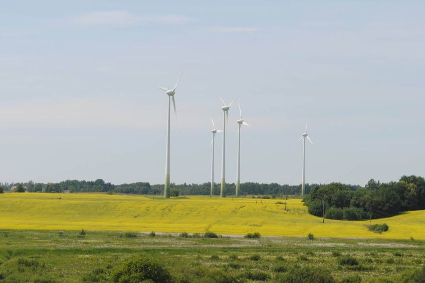 «Ветряки» для отвода глаз в Литве, амбиции Латвии и навязанная альтернатива Эстонии: Как в Прибалтике развивается «зеленая» энергетика                