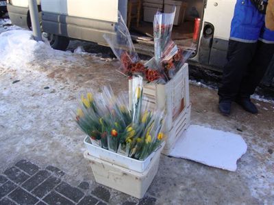 День женской солидарности или испытаний для мужчин?
 - В Висагинасе