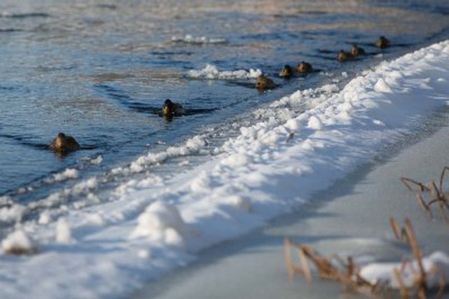 Per šventes orai bus visai ne žiemiški - Lietuva ir Baltijos šalys