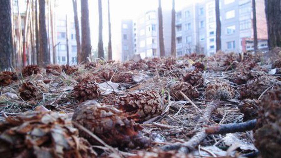БЕЗ ЦЕНЗУРЫ: А.Клочан: Мягко стелят на словах - жестко спать в реале будет... - Без цензуры