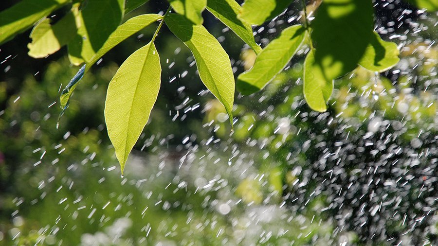 Прогноз погоды в Литве на ближайшие дни - Литва и страны Балтии