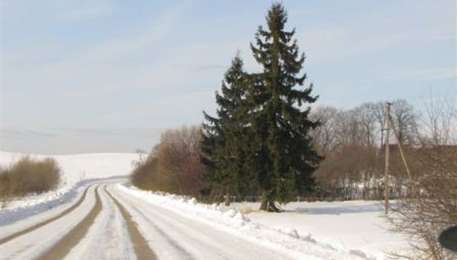 Вниманию владельцев автотранспортных средств - В Висагинасе