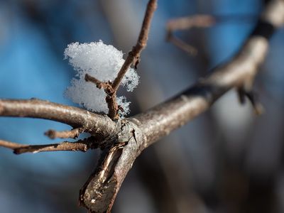 В начале недели в Литве будет солнечно и тепло - Литва и страны Балтии