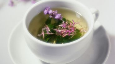 Развенчан миф о лечебных свойствах зеленого чая
                
