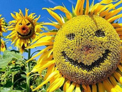 21 января — самый грустный день календаря - Хобби, отдых и развлечения