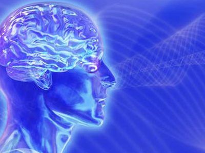 Как мозг обрабатывает зрительную информацию - Наука и здоровье