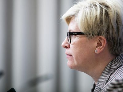 И. Шимоните: "семейная карточка" существует и выполняет свою функцию - Литва и страны Балтии