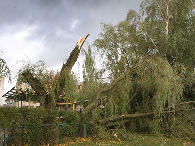 Per Lietuvą praūžęs škvalas daugiausiai žalos padarė Vakarų Lietuvoje - Lietuva ir Baltijos šalys