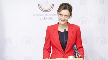 В.  Чмилите-Нильсен: 6 лет назад Литва притворилась, что не видит проблемы, а сегодня просит о помощи