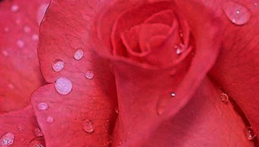 Он и Она: Творчество наших читателей  - Без цензуры