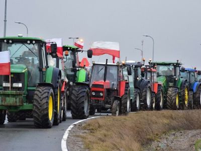 Польские фермеры перекроют самый крупный переезд на польско-литовской границе - В Мире