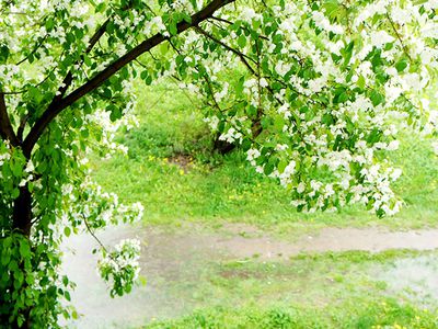 Прогноз: когда ждать тепла? - Литва и страны Балтии