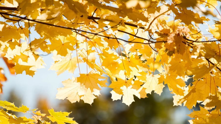 Погода: приятные перемены уже не за горами - Литва и страны Балтии