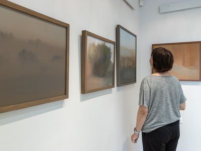 Гармония красок и фактур: новая выставка в Висагинасе (фотогалерея) - В Висагинасе