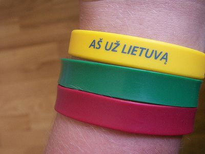 Принципы члена НАТО и ЕС —  2 года тюрьмы за свободу мысли  - Литва и страны Балтии