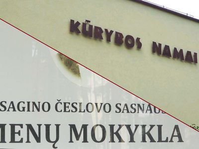 «Как все просто удается на словах и на бумаге…» - В Висагинасе