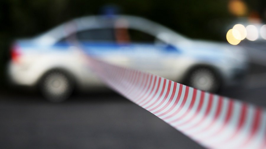 В Москве мужчина напал на пенсионерку, кормившую кошек - Происшествия и криминал