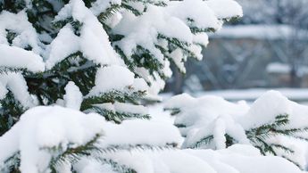 В Литву идет сильный циклон со снегом и вьюгами