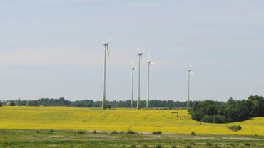 «Ветряки» для отвода глаз в Литве, амбиции Латвии и навязанная альтернатива Эстонии: Как в Прибалтике развивается «зеленая» энергетика                