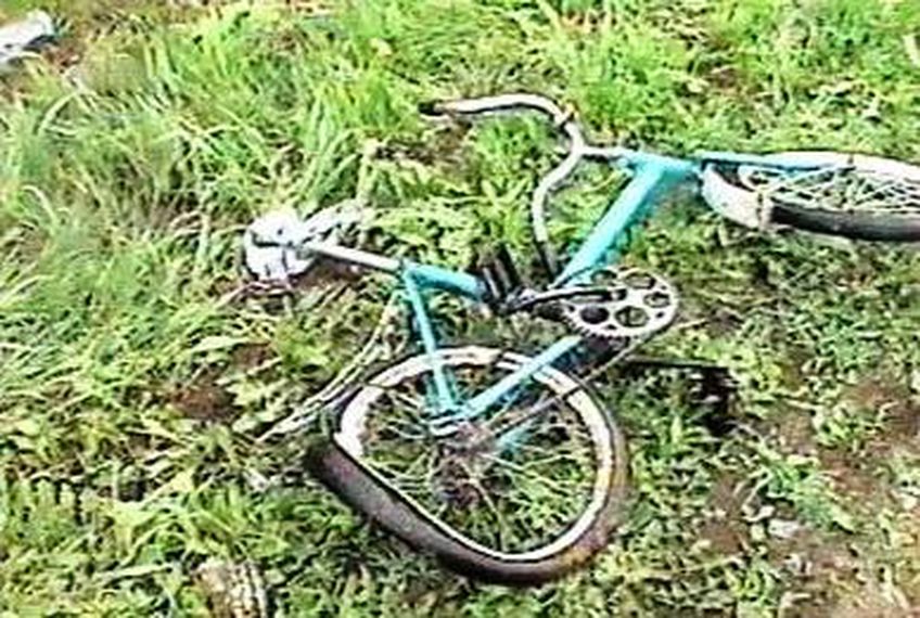 В садовом обществе сбита велосипедистка                                                                