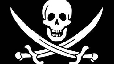 Антипиратскую организацию уличили в пиратстве