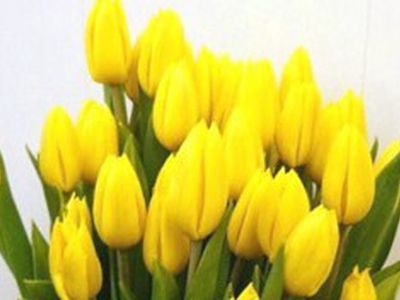 С 8 марта! - В Висагинасе