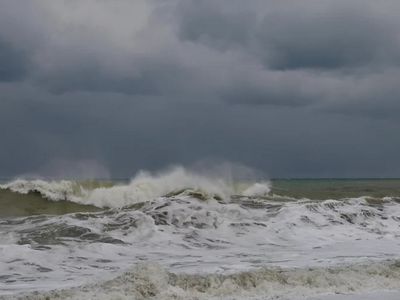 В Эстонии из-за шторма без света остаются почти 3 тыс. домов - Литва и страны Балтии