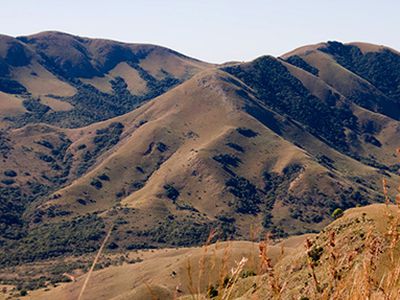 Магнитное поле древней Земли было почти в два раза слабее нынешнего - Наука и здоровье
