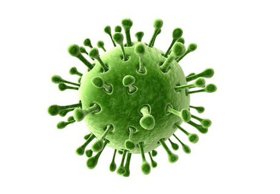 Осторожно: ротавирусная инфекция! - Наука и здоровье