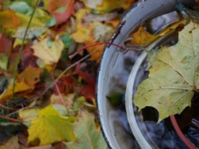 Numatomos šiltos dienos, bet rudeniškos naktys - Lietuva ir Baltijos šalys