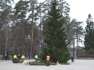 На площади Сантарвес установили городскую елку (видео) - В Висагинасе