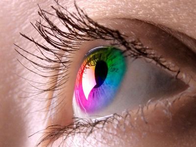 Простой глазной тест поможет предотвратить инсульт - Наука и здоровье